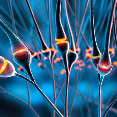 Neurotechnologies