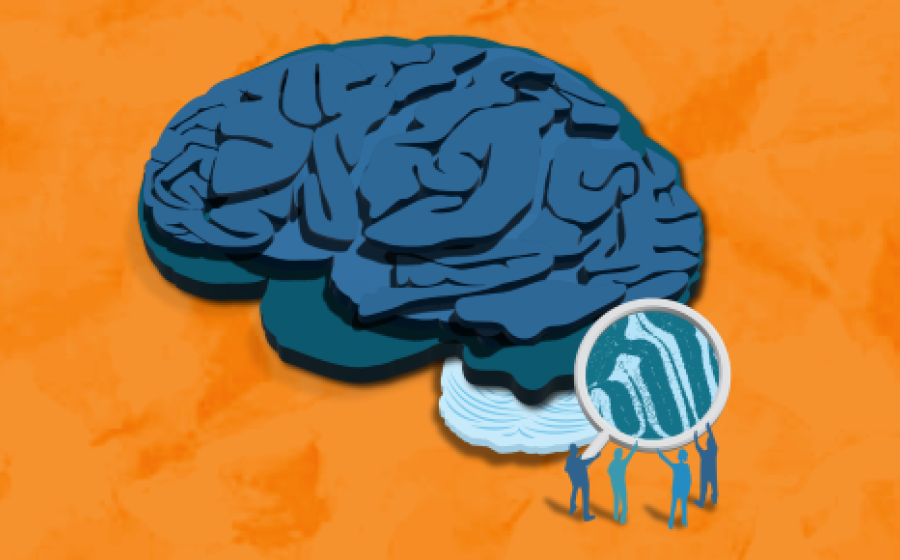 Unlocking the mysteries of the brain: highlights from the Cambridge Festival